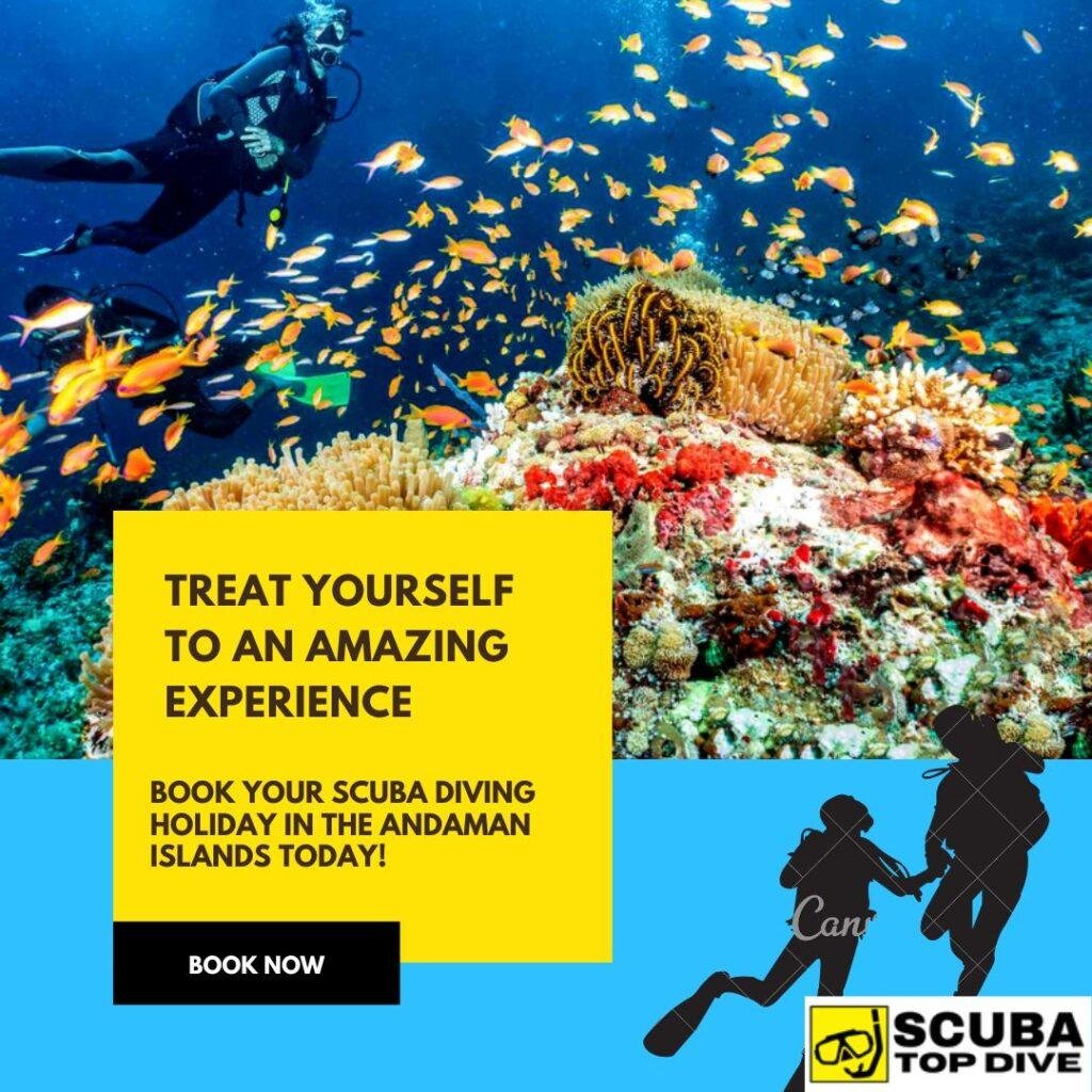 scuba diving book now