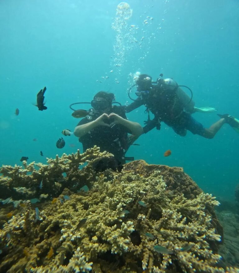 scuba diving in havelock