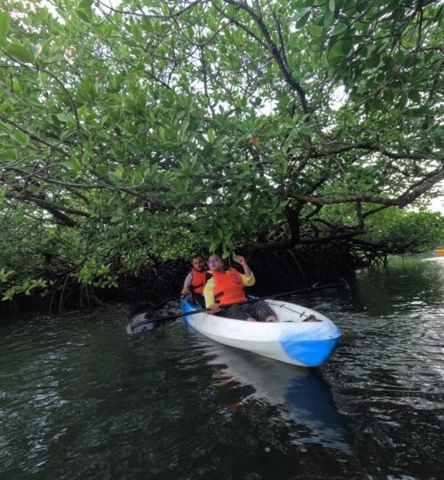 Night paddle in mangrove creeks (when conditions allow).